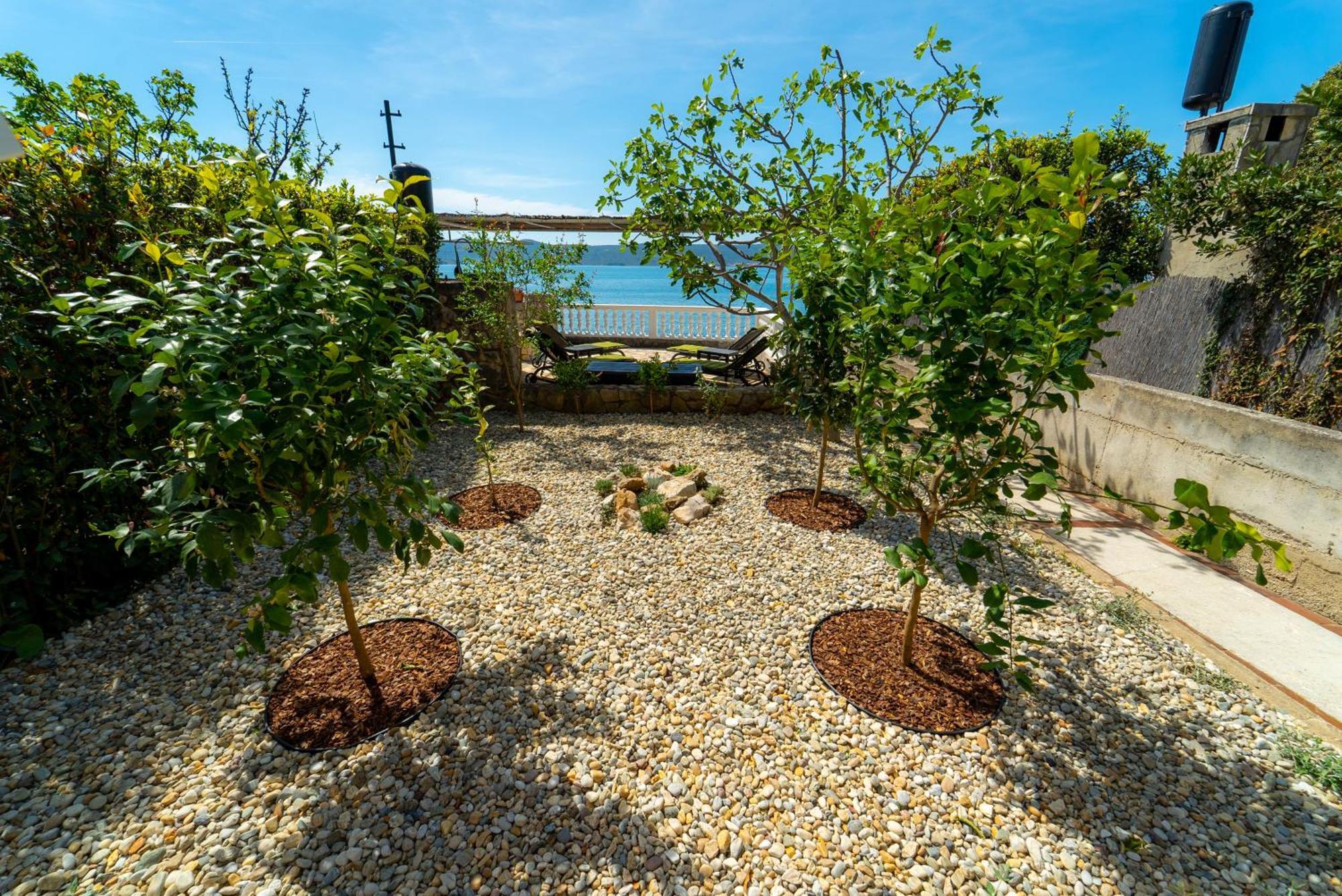 Apartments Ivos Sveti Petar  Εξωτερικό φωτογραφία